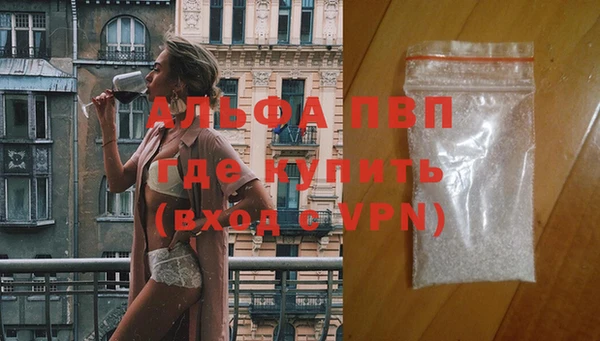прущий лед Михайловск