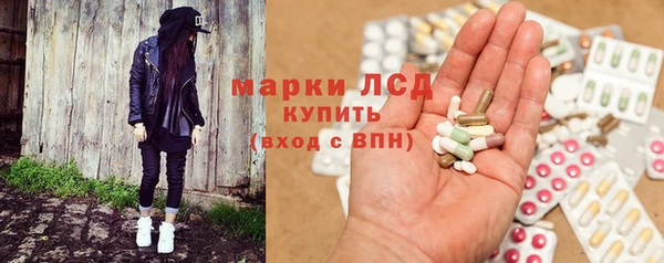 сатива Березники