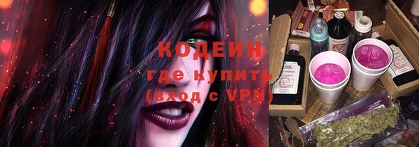 сатива Березники